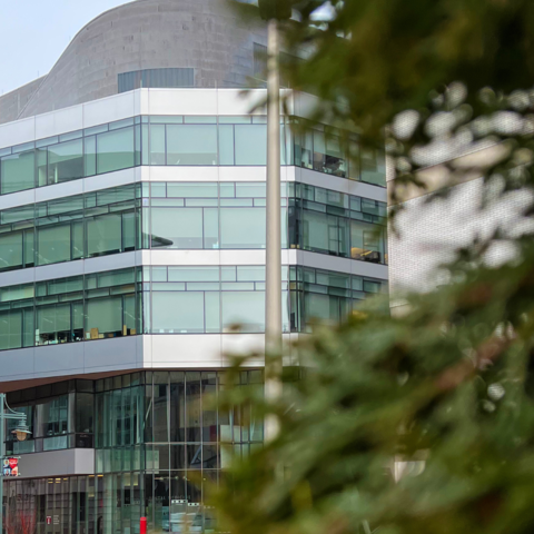 external view of the REB